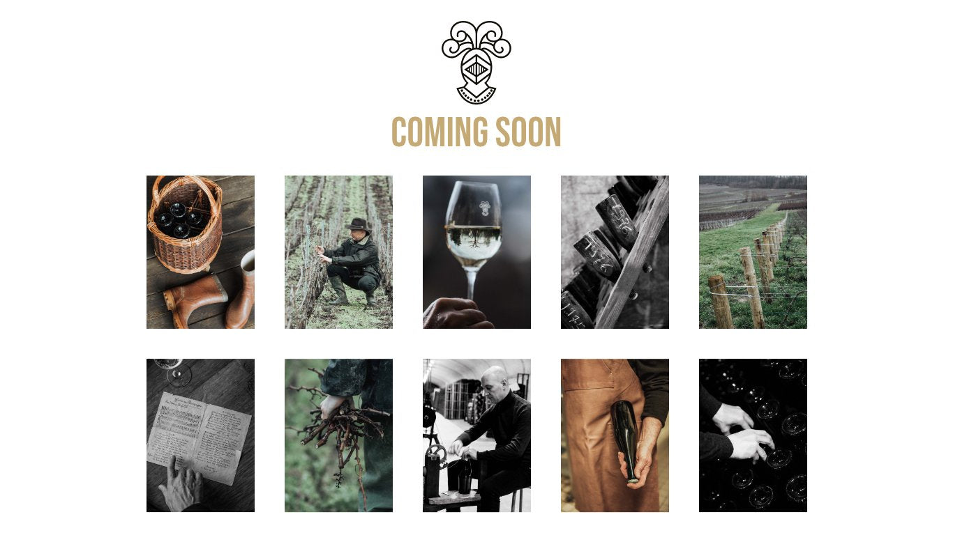 Telmont Staging Japan